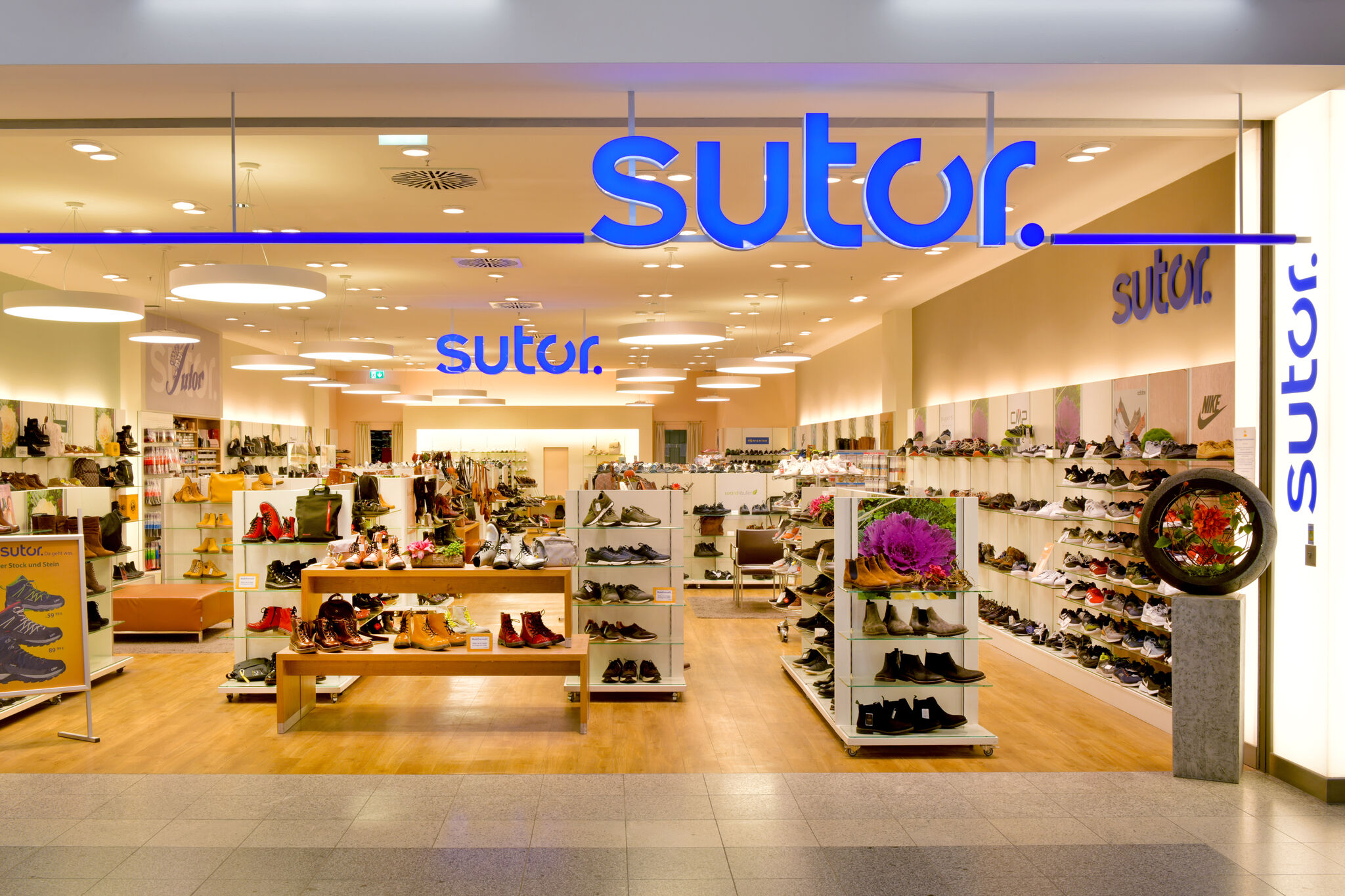 Sutor
